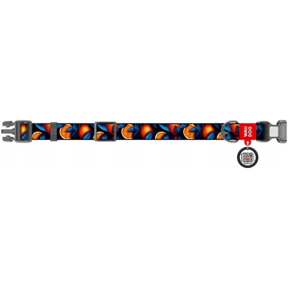 Obroża dla Psa WAUDOG Nylon w Pomarańcze 25mm/33-49cm z Adresówką QR - Modny, Wytrzymały i Bezpieczny Wybór dla Twojego Pupila!