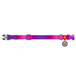 Collar Waudog Recycled Obroża Nylonowa Z Qr-Paszportem, Gradient L 25Mm/33-49Cm Fioletowy