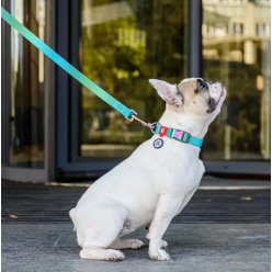 Collar Waudog Recycled Obroża Nylonowa Z Qr-Paszportem, Gradient L 25Mm/33-49Cm Niebieski