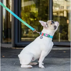 Collar Waudog Recycled Obroża Nylonowa Z Qr-Paszportem, Gradient M 20Mm X 28-40Cm Niebieski