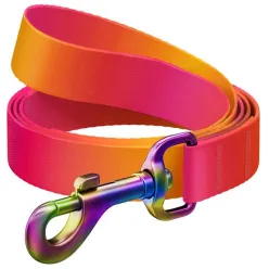 Collar Waudog Recycled Smycz Nylonowa, Gradient L-Xxl 25Mm/122Cm Pomarańczowy