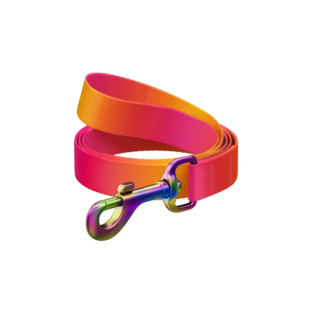 Collar Waudog Recycled Smycz Nylonowa, Gradient L-Xxl 25Mm/122Cm Pomarańczowy