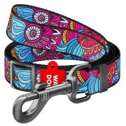 Collar Waudog Nylon Smycz Nylonowa Regulowana 25Mm/152-183Cm, Wzór Lato