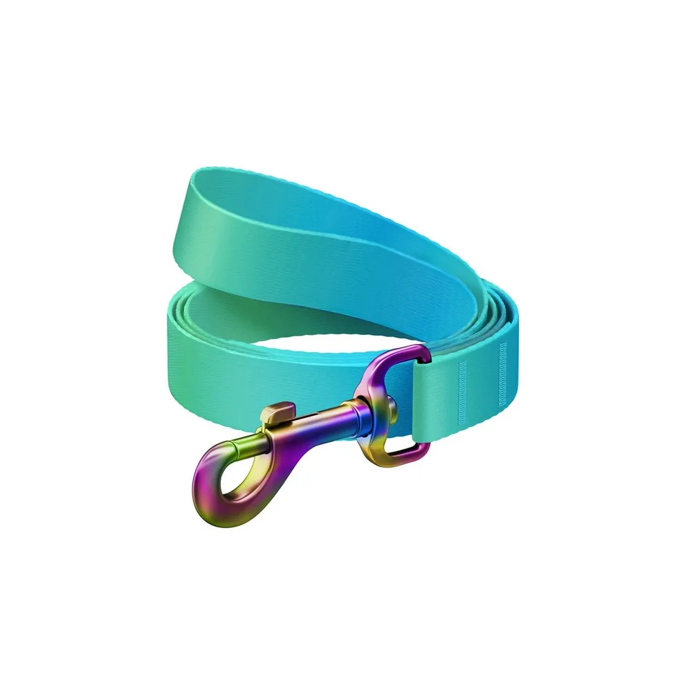 Collar Waudog Recycled Smycz Nylonowa, Gradient M 20Mm/122Cm Niebieski