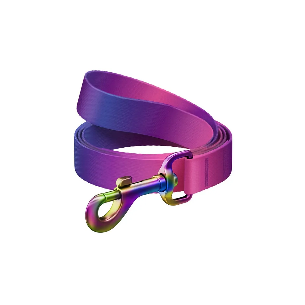 Collar Waudog Recycled Smycz Nylonowa, Gradient S 15Mm/122Cm Fioletowy