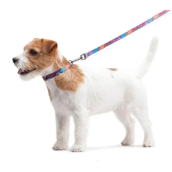 Collar Waudog Nylon Obroża Nylonowa Z Qr-Paszportem, Plastikowy Fastex, Wzór Lato, 25Mm/33-49Cm