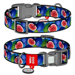 Collar Waudog Nylon Obroża Nylonowa Z Qr-Paszportem, Plastikowy Fastex, Wzór Figa, M 20Mm/28-40Cm