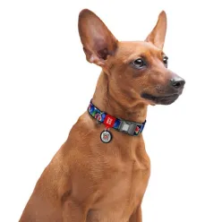 Collar Waudog Nylon Obroża Nylonowa Z Qr-Paszportem, Plastikowy Fastex, Wzór Figa, M 20Mm/28-40Cm
