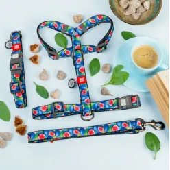 Collar Waudog Nylon Obroża Nylonowa Z Qr-Paszportem, Plastikowy Fastex, Wzór Figa, M 20Mm/28-40Cm