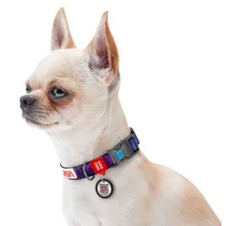 Collar Waudog Nylon Obroża Nylonowa Z Qr-Paszportem, Plastikowy Fastex, Wzór Nasa21, 20Mm/28-40Cm