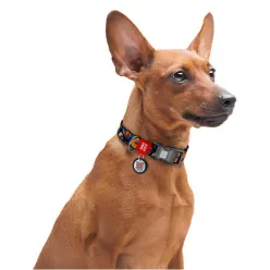 Collar Waudog Nylon Obroża Nylonowa Z Qr-Paszportem, Plastikowy Fastex, Wzór Pomarańcze, 20Mm/28-40Cm