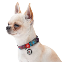 Collar Waudog Nylon Obroża Nylonowa Z Qr-Paszportem, Plastikowy Fastex, Wzór Lato, 15Mm/25-35Cm
