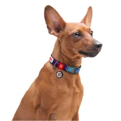 Collar Waudog Nylon Obroża Nylonowa Z Qr-Paszportem, Plastikowy Fastex, Wzór Nasa21, 15Mm/25-35Cm