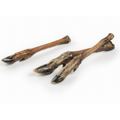 Balto Racica Sarny 5Szt