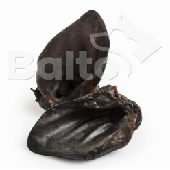 Balto Ucho Dzika 1Szt