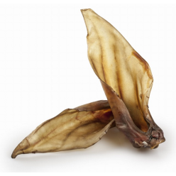 Balto Ucho Jelenia 1Szt