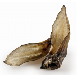 Balto Ucho Sarny 5Szt