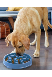 Outward Hound Fun Feeder Miska Spowalniająca Niebieska [67831]