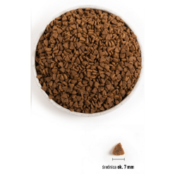 Acana First Feast Cat & Kitten 340G