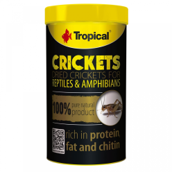 Tropical Crickets 100 ml – suszone świerszcze dla gadów i dużych ryb, 65% białka