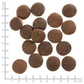 Wolfsblut Dog Red Rock - Kangur I Bataty 12,5Kg