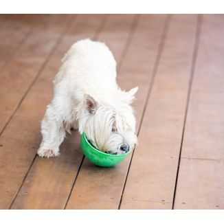 Lickimat Wobble Miska Głęboka Jeżyk Miękka Turkusowa