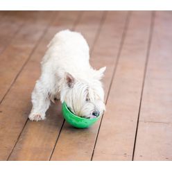 Lickimat Wobble Miska Głęboka Jeżyk Miękka Turkusowa