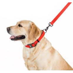 Collar Waterproof Smycz Wodoodporna M 20Mm/183Cm Czerwona
