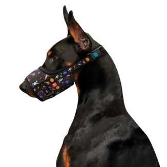 Collar Waudog Nylon Kaganiec, Plastikowy Fastex, Wzór Nasa, Rozmiar 2 [19-26Cm]