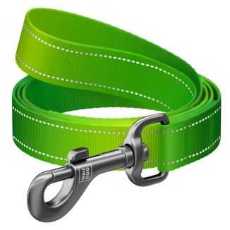 Collar Waudog Nylon Mono Smycz Nylonowa Odblaskowa M 20Mm/200Cm Jasnozielona