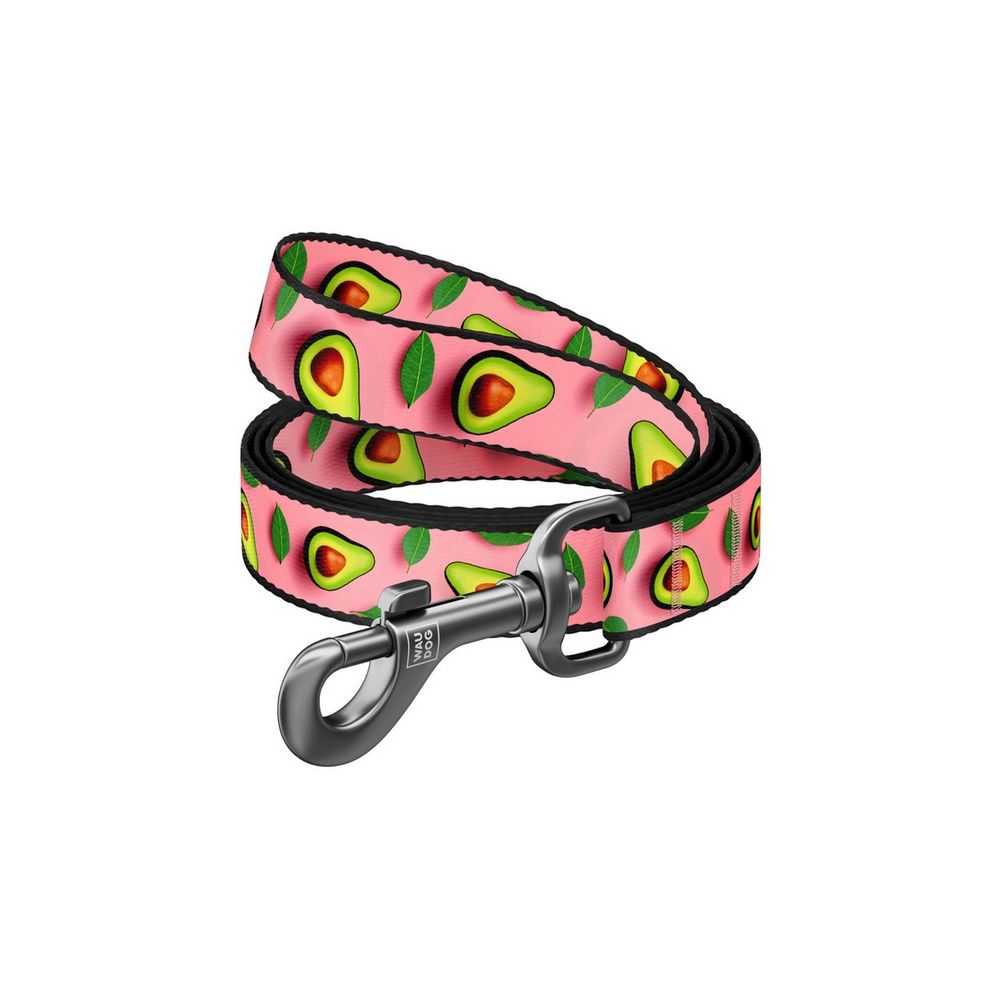 Collar Waudog Nylon Smycz Nylonowa S 15Mm/200Cm, Wzór Awokado Na Różu