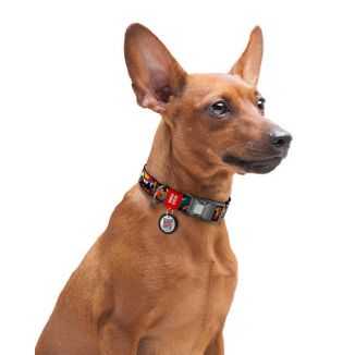 Collar Waudog Nylon Obroża Nylonowa Z Qr-Paszportem, Plastikowy Fastex, Wzór Zębate Potwory, L 25Mm/33-49Cm