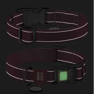 Collar Waudog Nylon Mono Obroża Nylonowa Odblaskowa Z Qr-Paszportem, Plastikowy Fastex, M 20Mm/28-40Cm Jasnozielona