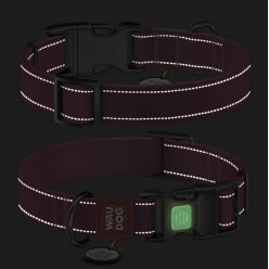 Collar Waudog Nylon Mono Obroża Nylonowa Odblaskowa Z Qr-Paszportem, Plastikowy Fastex, M 20Mm/28-40Cm Jasnozielona