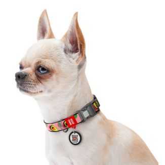 Collar Waudog Nylon Obroża Nylonowa Z Qr-Paszportem, Plastikowy Fastex, Wzór Awokado Na Różu, M 20Mm/28-40Cm