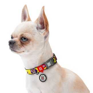 Collar Waudog Nylon Obroża Nylonowa Z Qr-Paszportem, Plastikowy Fastex, Wzór Futrzane Potwory, M 20Mm/28-40Cm