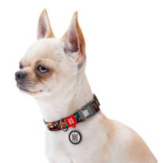 Collar Waudog Nylon Obroża Nylonowa Z Qr-Paszportem, Plastikowy Fastex, Wzór Zębate Potwory, M 20Mm/28-40Cm