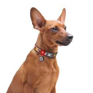 Collar Waudog Nylon Obroża Nylonowa Z Qr-Paszportem, Plastikowy Fastex, Wzór Awokado Na Różu, S 15Mm/25-35Cm