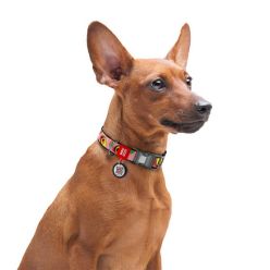 Collar Waudog Nylon Obroża Nylonowa Z Qr-Paszportem, Plastikowy Fastex, Wzór Awokado Na Różu, S 15Mm/25-35Cm