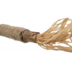 Trixie Patyk z Matatabi dla Kota 24cm | Naturalna Zabawka Dentystyczna