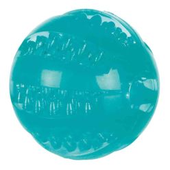 Miętowo-zielona piłka dentystyczna Trixie z serii DENTAfun o średnicy 6 cm, wykonana z gumy TPR z widocznymi wypustkami.