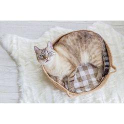Okrągłe Legowisko dla Kota z Poduszką 38cm | Można Prać w Pralce