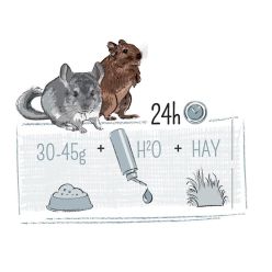 Witte Molen Puur 2kg Karma dla Szynszyli i Koszatniczek Bez Cukru