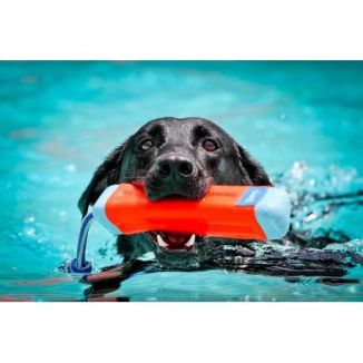 Chuckit! Amphibious Bumper 23cm Pływający Aport dla Psa