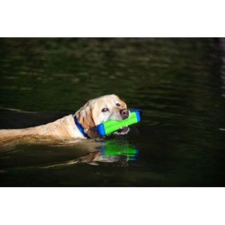 Chuckit! Amphibious Bumper 23cm Pływający Aport dla Psa