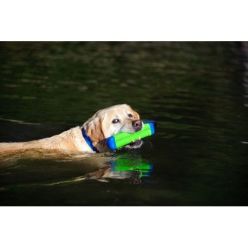Chuckit! Amphibious Bumper 23cm Pływający Aport dla Psa