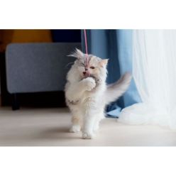 Fluff Ball Puszysta Piłeczka na Gumce Zabawka dla Kota 6cm