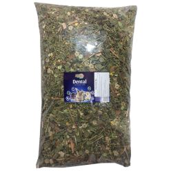 Alegia Dental Dla Gryzoni Królików 10Kg