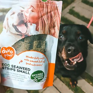 Duvo+ Paski z Algami Morskimi dla Psa L 11,5cm 75g