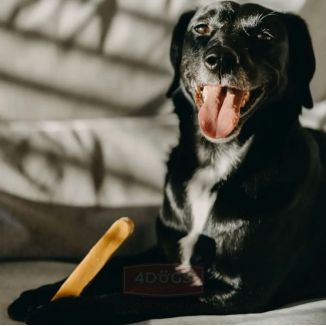 4Dogs Gryzak Z Sera Himalajskiego Churpi Original L